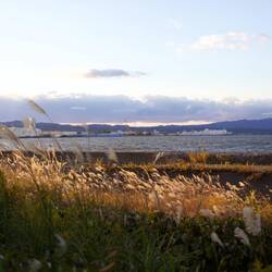 Photo from my prone photography