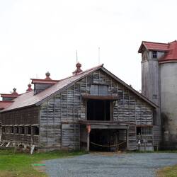 Japanese cow shed for birthing