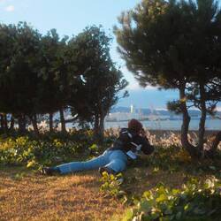 Trying to capture the plants in the sun and wind