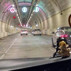 Tunnel under the water