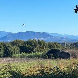 Lazio landscape - just after several golf courses on both sides of path