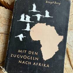 In Brauni auf dem Bürgersteig gefunden