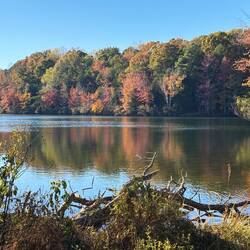 Color across the lake