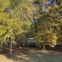 We are tucked into the trees