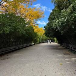 AN OASIS in Brooklyn