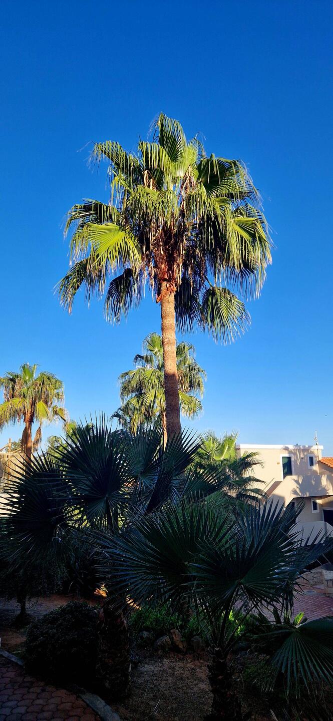 Morgens auf unserer Terrasse