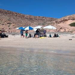 Lunch auf der einsamen Insel