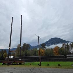 An diesen Baumstämmen klettert Mitch Bruder wettkampfmäßig hoch