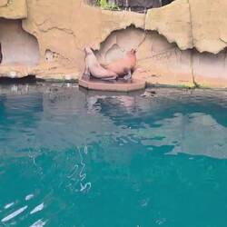 Diskussion um den Platz auf der Insel