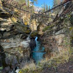 Gefallene Bäume spannen sich wie Brücken über die enge Schlucht.
