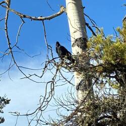 Ein stiller Beobachter.