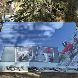 Die Athabasca Falls fordern Leben.