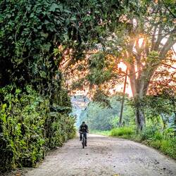 Ist auch nicht der Chef