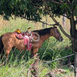 Wäre eine Alternative zum Auto 🤔