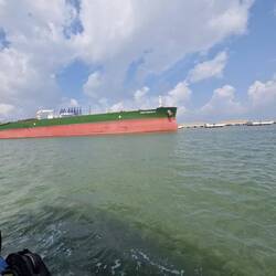 One of many enormous ships we passed