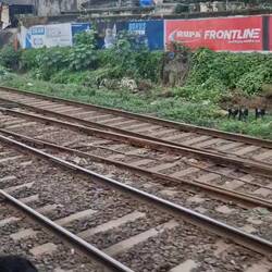 Train ride ....doors always open