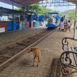 Mini train ride from the boat to the 120steps up to the cave