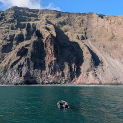After lunch: a zodiac tour of Isabella Island