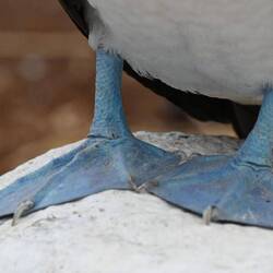 Still can't get over them