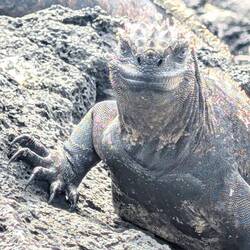 It was open for a split second only