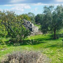 Ein Steinhaufen oder eine Hütte🤷