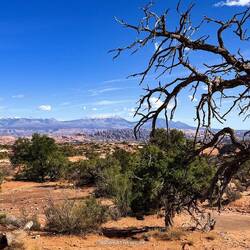 Trail zu den Gemini Bridges mit Weitblick