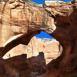 ...und was Drohni sieht wenn sie abtaucht