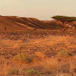 ... und genießen die untergehende Sonne