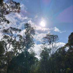 Gelukkig! Daar is de zon!