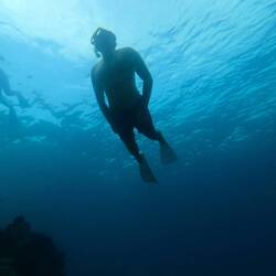 Let the sea reset the mind.