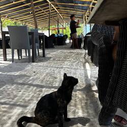 Mit kleiner Unterstützung 😍