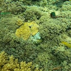 Er ist soo schnell 💨 🙈