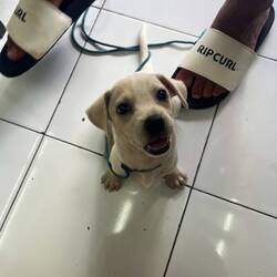 Die kleine Moni, ich habe mich direkt in sie verliebt 😍