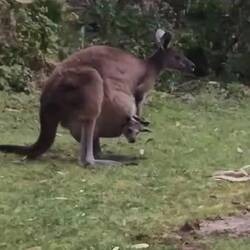 Genau, so ist es richtig