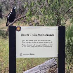 Yanchep Nationalpark mit Begrüßungsvogel