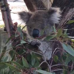 hat natürlich auch viel Hunger