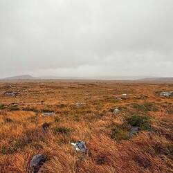 Connemara National Park