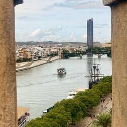 Vue de la tour du port 😍