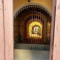 Le charme des patios andalous ❤️