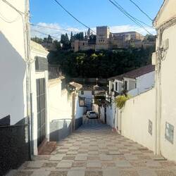 L'alhambra de Granada au fond