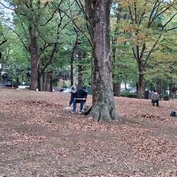Freilichtmaler im Park - das 19. Jahrhundert lässt grüßen