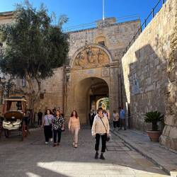 The gate to Mdina