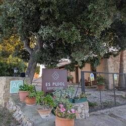 Finca es Pujol