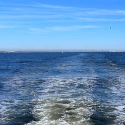 Crossing Mobile Bay to Oyster Bay. Dog River at left, Mobile in distance.