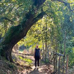 Pathway