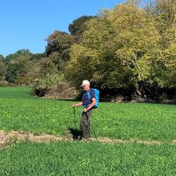 Two-pole pilgrim. Definitely less stress on dodgy ankles