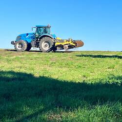 Lunchtime entertainment