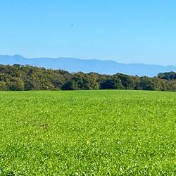 Perhaps Rome is over those hills?