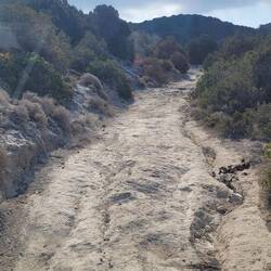 Hier kommen wir nicht weiter..