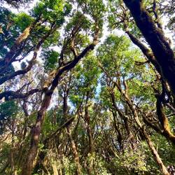 Sowohl von oben ....